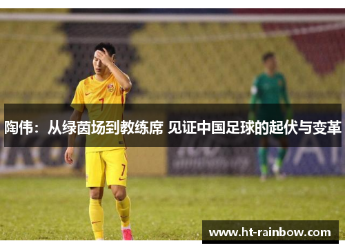 陶伟：从绿茵场到教练席 见证中国足球的起伏与变革